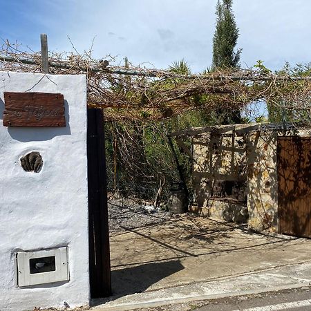 Finca La Tajea Santa Cruz de Tenerife Zewnętrze zdjęcie