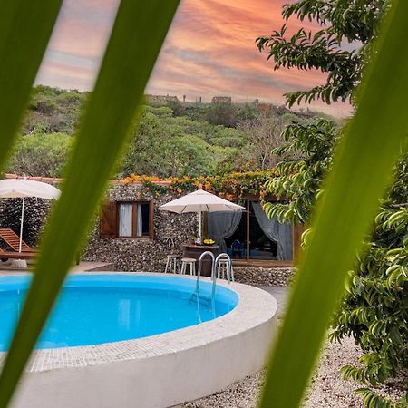 Finca La Tajea Santa Cruz de Tenerife Zewnętrze zdjęcie