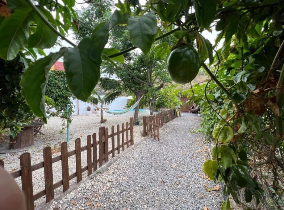 Finca La Tajea Santa Cruz de Tenerife Zewnętrze zdjęcie